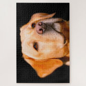 Chien du Labrador. Jigsaw Puzzle (Vertical)