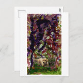 Chien d'une autre carte postale (Devant / Derrière)