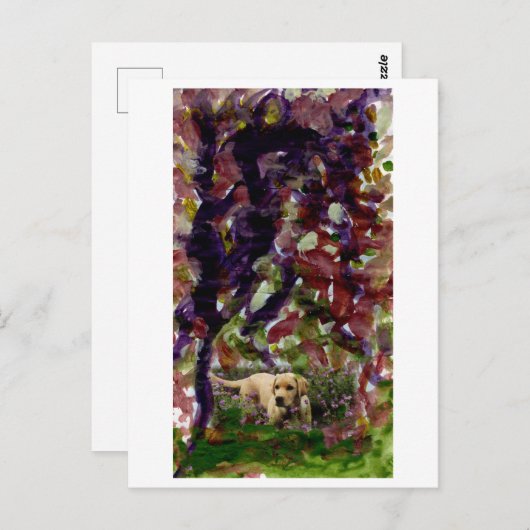 Chien d'une autre carte postale (Devant / Derrière)