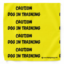 Chien en formation Bandana jaune