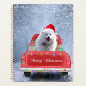 Chien Eskimo américain en neige assis à Noël (Devant)