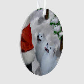 Chien Esquimau Américain Noël (devant)