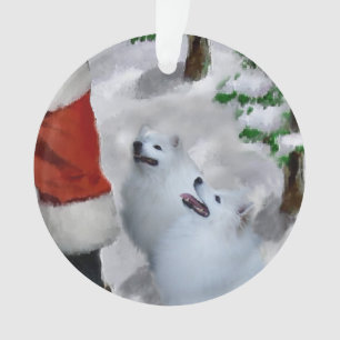 Chien Esquimau Américain Noël