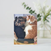 Chien et chat, Carte postale (Debout devant)