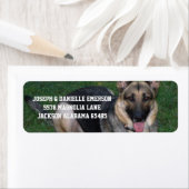 Chien Étiquette de adresse berger allemand (En situation)