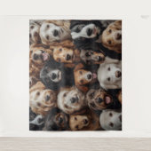 Chien face de la tapisserie (Devant)
