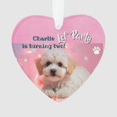 Chien Faisons la fête Anniversaire (devant)