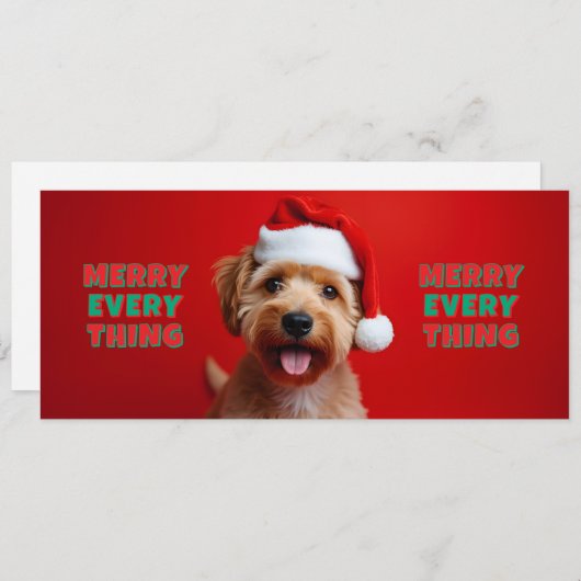 Chien fun - Merry Every Thing (Voorkant / Achterkant)