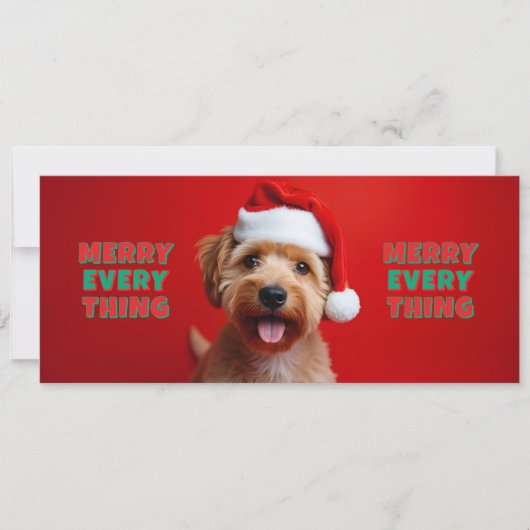 Chien fun - Merry Every Thing (Voorkant)