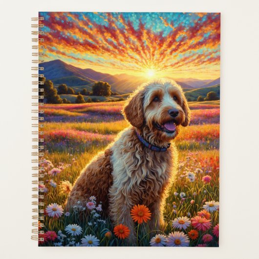 chien Golden Doodle (Devant)