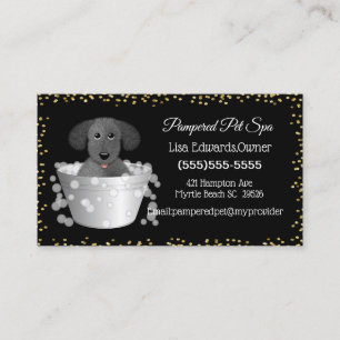 Chien Grooming Chien Spa Carte de rendez-vous