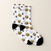Chien Havanais (Paire)
