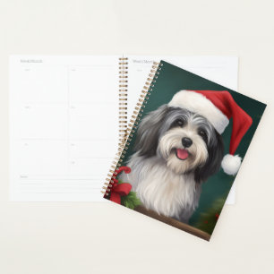 Chien Havanais dans la neige de Noël