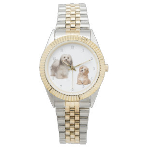Chien Havanais et Montre de levrette