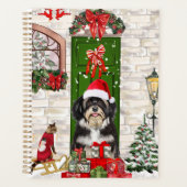 Chien Havanais Noël (Devant)