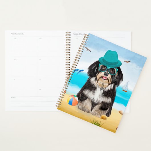 Chien Havanais sur la plage (Devant avec enveloppe)