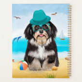 Chien Havanais sur la plage (Dos)
