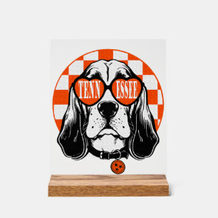 Chien Hound Tennessee Orange Blanc Rocky Top TN