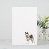 Chien Husky avec lunettes de soleil Papeterie (Debout devant)