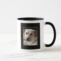 Chien jaune de labrador retriever sur la tasse en