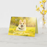 Chien jaune et encouragement obtenir bonne carte
