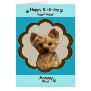 Chien Joyeux anniversaire maman de Yorkie avec pho