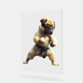 Chien Knows Karate transformé (Angle)