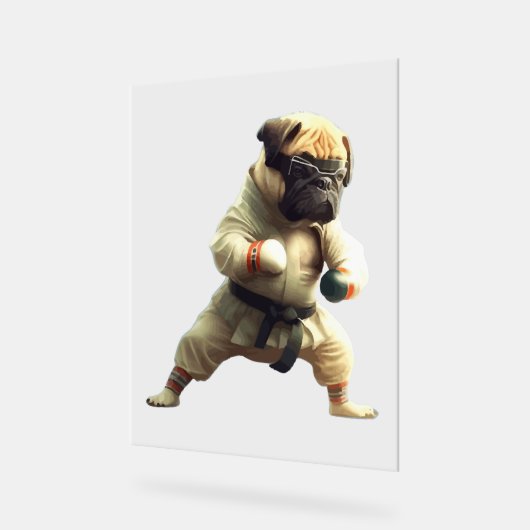 Chien Knows Karate transformé (Angle)