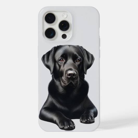 Chien Labrador noir (Verso)