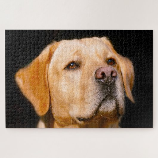 Chien Labrador. Puzzle (Horizontal)