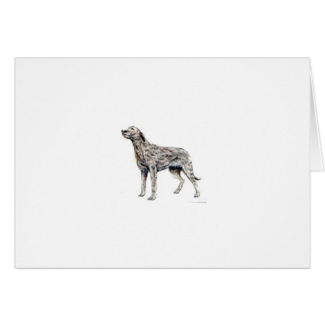 Chien-loup irlandais (Devant horizontal)
