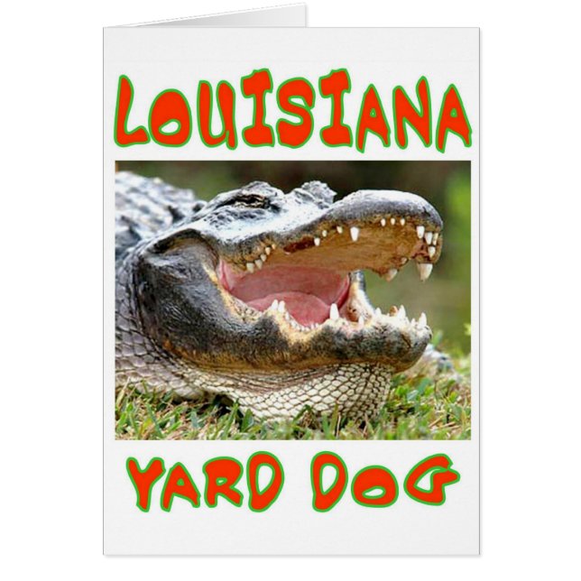 CHIEN LOUSIANA YARD (Devant)