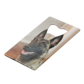 Chien malinois (Devant Angle)