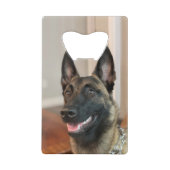 Chien malinois (Dos)