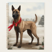 Chien malinois belge à Noël de neige (Devant)