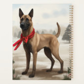 Chien malinois belge à Noël de neige (Dos)