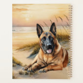 Chien Malinois Belge Anse de la Plage Côtière (Dos)