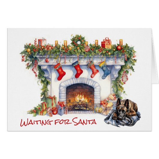 Chien Malinois belge en attente de Père Noël (Devant horizontal)