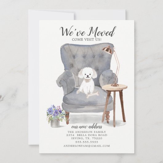 Chien maltais que nous avons déplacé Faire-part (Devant)