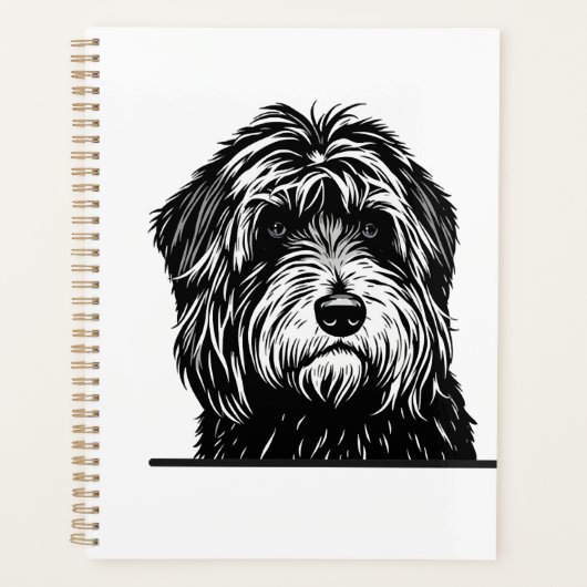 Chien Mignon (Devant)