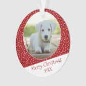 Chien mignon animal étoile rouge photo Keepsaké de (devant)