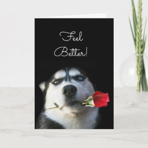 Chien mignon et Fleur Sentez mieux obtenir carte