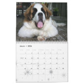 Chien mignon race Saint Bernard Chiot Calendrier (Mar 2026)