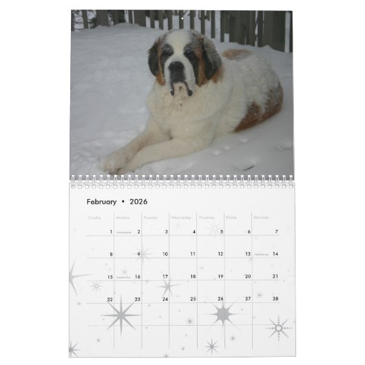 Chien mignon race Saint Bernard Chiot Calendrier (Feb 2026)
