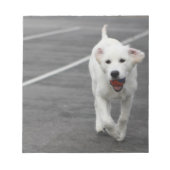 Chien mignon sur un bloc-notes (Devant)
