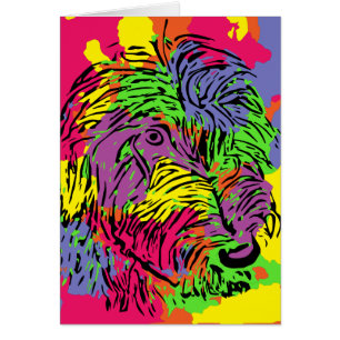 Chien multicolore