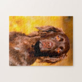 Chien Munsterlander. Jigsaw Puzzle (Horizontal)
