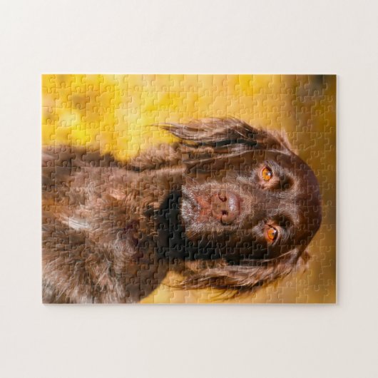 Chien Munsterlander. Jigsaw Puzzle (Horizontal)