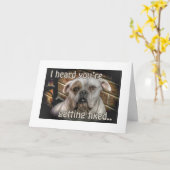 chien Neutre obtenir carte de puits (Fleur jaune)