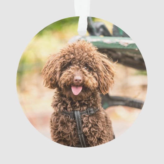 Chien Noël Ornement Photo Animal de compagnie Furr (dos)